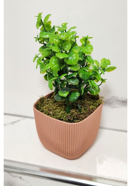 Mini yapay şimşir bitki, taşlı yosun dekor, 16 cm, pembe, masa ve banyo dekoru