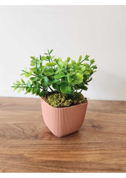 Mini yapay şimşir bitki, taşlı yosun dekor, 16 cm, pembe, masa ve banyo dekoru