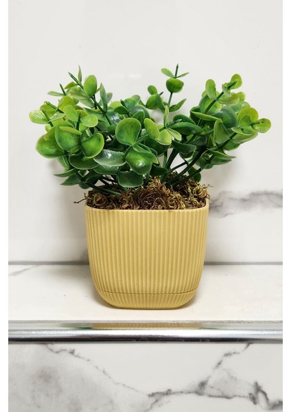 Mini Yapay Saksı Bitki, Şimşir, Taş Yosun, 16 cm, Sarı, 11-30 cm, Dekor, Banyo, Mutfak modelleri