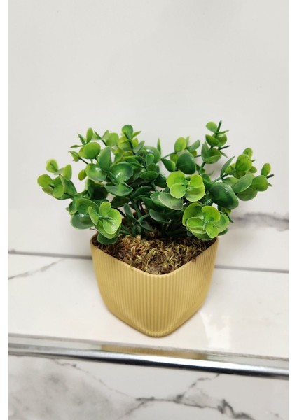 Mini Yapay Saksı Bitki, Şimşir, Taş Yosun, 16 cm, Sarı, 11-30 cm, Dekor, Banyo, Mutfak fırsatları
