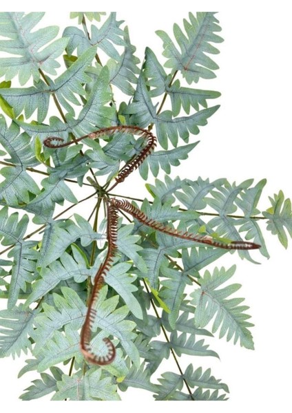 Yapay Çiçek Pastel Cycas Aşk Merdiveni 80cm Eğrelti Otu 12 Yaprak 40x80cm fiyatları