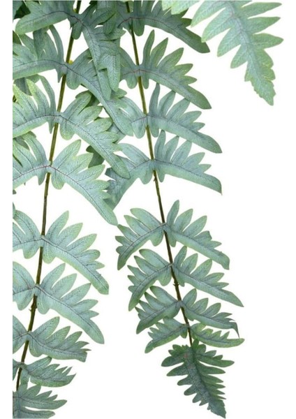 Yapay Çiçek Pastel Cycas Aşk Merdiveni 80cm Eğrelti Otu 12 Yaprak 40x80cm modelleri