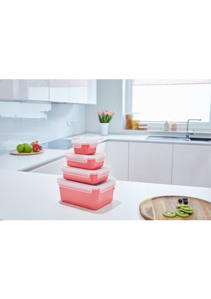 N1030910 Masterseal Colour Edition 4'lü Saklama Kabı - 3110600886 fırsatları