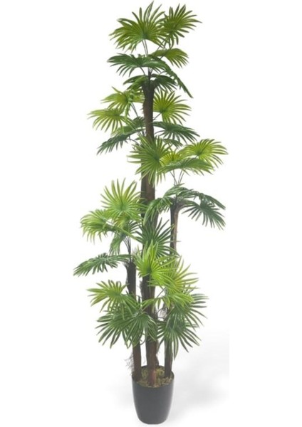 Tekno Trust Yapay Ağaç Yelpaze Palmiye 5katlı Fanpalm 40 Yaprak 180*65cm