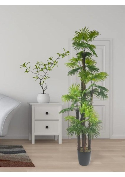 Tekno Trust Yapay Ağaç Yelpaze Palmiye 5katlı Fanpalm 40 Yaprak 180*65cm