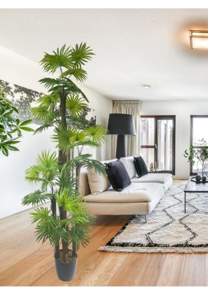 Tekno Trust Yapay Ağaç Yelpaze Palmiye 5katlı Fanpalm 40 Yaprak 180*65cm