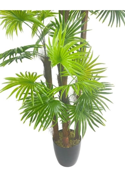 Tekno Trust Yapay Ağaç Yelpaze Palmiye 5katlı Fanpalm 40 Yaprak 180*65cm