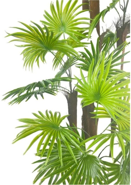 Tekno Trust Yapay Ağaç Yelpaze Palmiye 5katlı Fanpalm 40 Yaprak 180*65cm