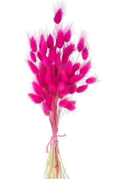 Doğal kuru çiçek, pamuk otu, şoklanmış, bozulmaz, pembe, 10g, yüksek kalite fiyatları