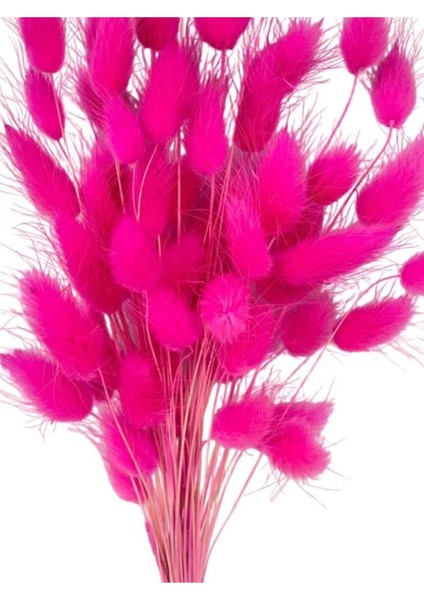 Doğal kuru çiçek, pamuk otu, şoklanmış, bozulmaz, pembe, 10g, yüksek kalite modelleri