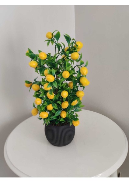 Tekno Trust Limon Ağacı Mutfak Süsü 50 Cm Antrasit Saksıda