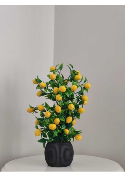 Tekno Trust Limon Ağacı Mutfak Süsü 50 Cm Antrasit Saksıda