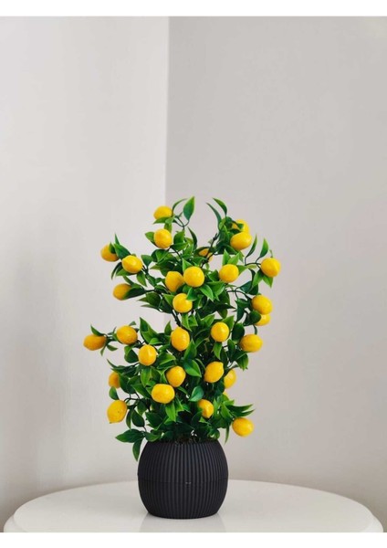 Tekno Trust Limon Ağacı Mutfak Süsü 50 Cm Antrasit Saksıda