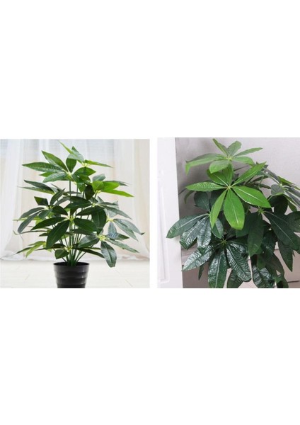 Tekno Trust Yapay Çiçek Demet Şeflera Bitkisi 18dal 75cm Salon Çiçeği Yapay Bitki Pachira Macrocarpa