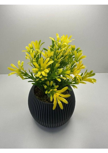 Mini Afrika Zambağı Saksıda, Yapay, Gerçek Taş Yosunlu, 18 cm, Dekoratif Çiçek fiyatları