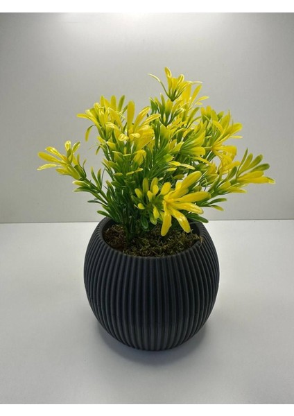 Mini Afrika Zambağı Saksıda, Yapay, Gerçek Taş Yosunlu, 18 cm, Dekoratif Çiçek modelleri