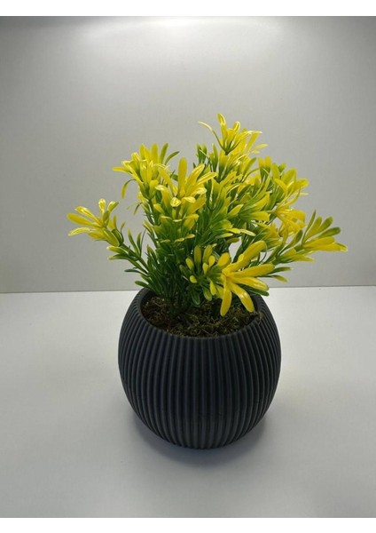 Mini Afrika Zambağı Saksıda, Yapay, Gerçek Taş Yosunlu, 18 cm, Dekoratif Çiçek indirimleri