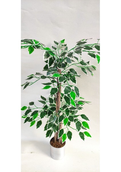 Tekno Trust Rüzgar Yapay Çiçekçilik 90 Cm Ficus Ağacı