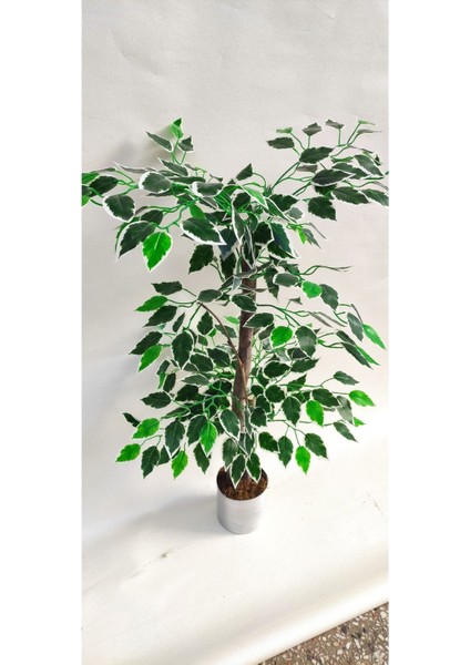 Tekno Trust Rüzgar Yapay Çiçekçilik 90 Cm Ficus Ağacı