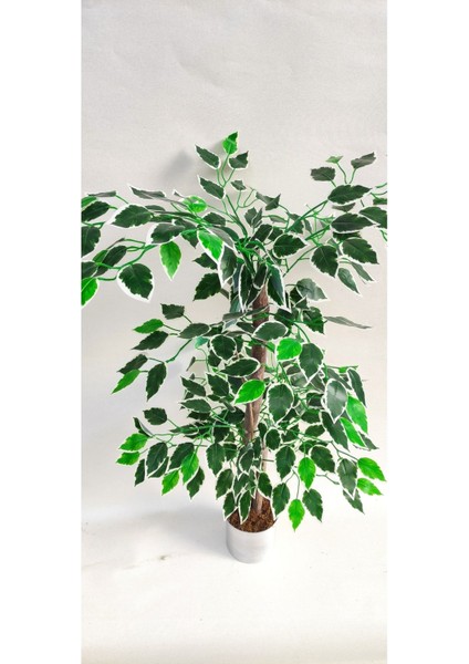 Tekno Trust Rüzgar Yapay Çiçekçilik 90 Cm Ficus Ağacı