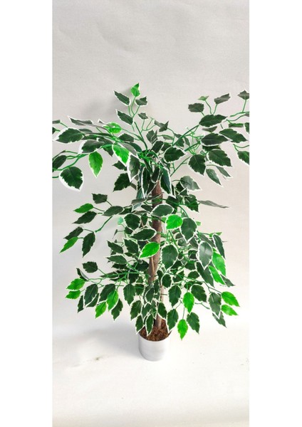 Tekno Trust Rüzgar Yapay Çiçekçilik 90 Cm Ficus Ağacı