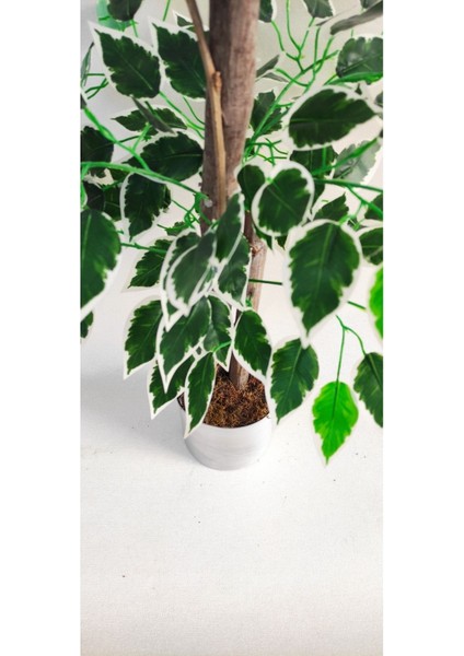 Tekno Trust Rüzgar Yapay Çiçekçilik 90 Cm Ficus Ağacı