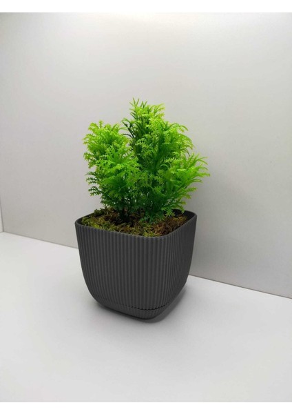 Mini Kare Saksıda Canlı Yeşil Çim Yapay Bitki, Gri Renk, Banyo ve Mutfak Dekoru