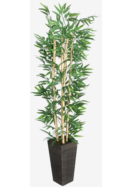 Yapay Bambu Ağacı 155 Cm, 4 Gövdeli, Yeşil, Ahşap Saksı, Şık Dekoratif Bitki