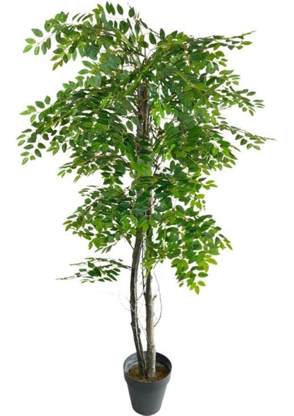 Doğal Karaağaç Yapay Ağaç, 180cm, Yoğun Yaprak, Kahverengi, 2 Gövde, Çiçeksiz modelleri