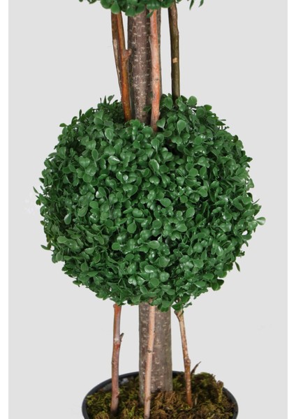 Yapay 2 Katlı Mini Şimşir Ağacı, 80 Cm, Siyah Saksı, Canlı Yeşil Renk fiyatları