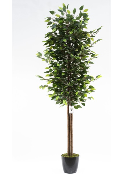 Yapay Ağaç, 180 cm, Yeşil, Islak Doku, Yükseklik 151-200 cm, Çiçek: Ağaç