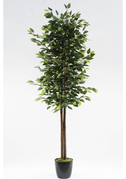 Yapay Ağaç, 180 cm, Yeşil, Islak Doku, Yükseklik 151-200 cm, Çiçek: Ağaç modelleri