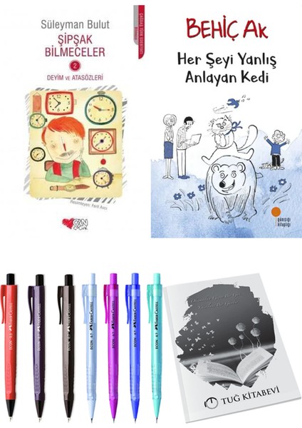 Her Şeyi Yanlış Anlayan Kedi ve Şipşak Bilmeceler 2 2'li Set
