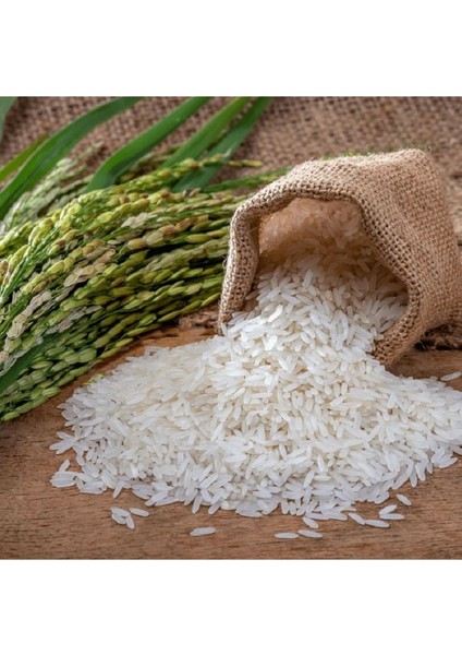 Ahmadi Zerrin Rice 1121 Uzun Iri Taneli Basmati Hint Sella Pirinci 5 kg