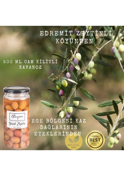 Yeşil Zeytin %100 Katksız Cam Şişe