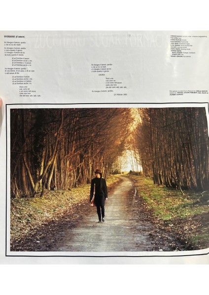 Zucchero Sugar Fornaciari ‎– Oro Incenso & Birra 1989 Baskı Lp (Plak) modelleri