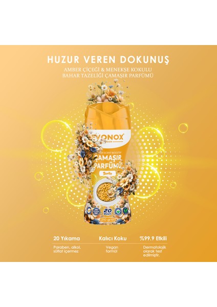 Clean Granül Çamaşır Parfümü & Çamaşır Yumuşatıcı Berlin 210 gr