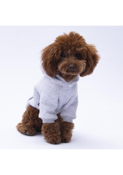 Gri Kanguru Cepli Kedi-Köpek Hoodie- Sweatshirt Kedi Köpek Kıyafeti