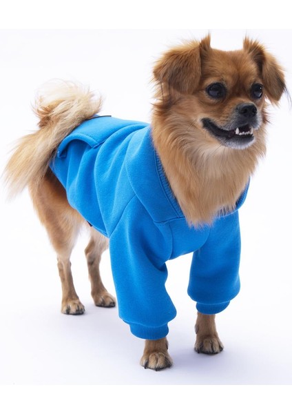 Mavi Kanguru Cepli Kedi-Köpek Hoodie- Sweatshirt Kedi Köpek Kıyafeti