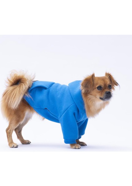 Mavi Kanguru Cepli Kedi-Köpek Hoodie- Sweatshirt Kedi Köpek Kıyafeti fiyatları