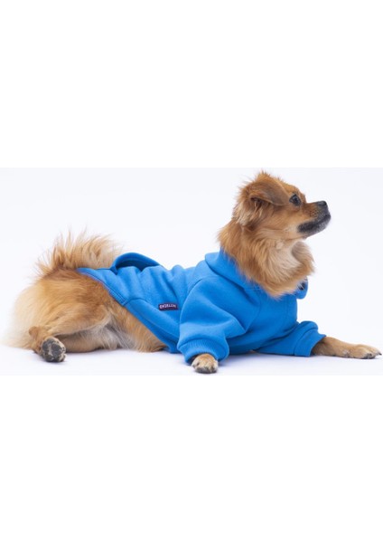 Mavi Kanguru Cepli Kedi-Köpek Hoodie- Sweatshirt Kedi Köpek Kıyafeti modelleri