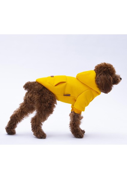 Sarı Kanguru Cepli Kedi-Köpek Hoodie- Sweatshirt Kedi Köpek Kıyafeti modelleri