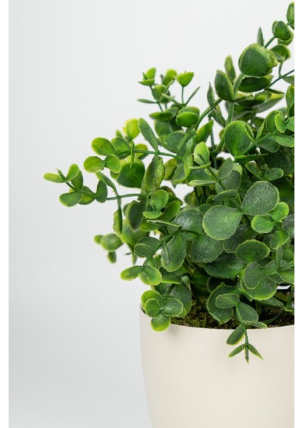 Beyaz Saksıda Yapay Baby Okaliptus, Şık ve Doğal Görünüm fiyatları