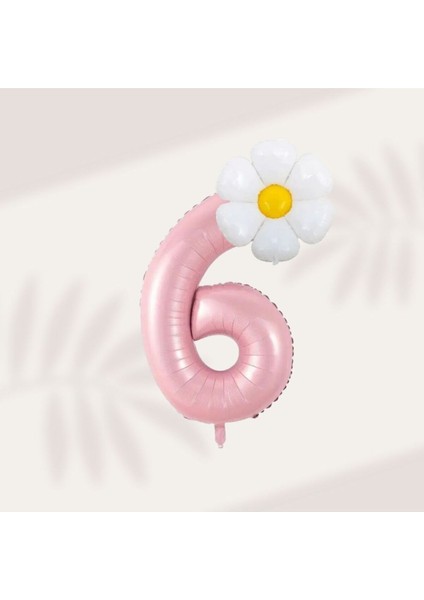 6 Yaş Doğum Günü Yaş Folyo Pembe ve Papatya Balon Parti Seti