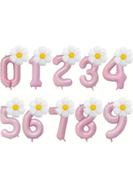 4 Yaş Doğum Günü Yaş Folyo Pembe ve Papatya Balon Parti Seti