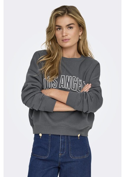 ONLSWEAT L/S CREW OVERSIZ Gri Kadın Sweatshirt indirimleri