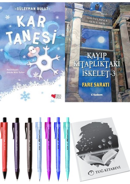 Kayıp Kitaplıktaki Iskelet 3 Fare Sarayı ve Kar Tanesi 2'li Set - Kalem