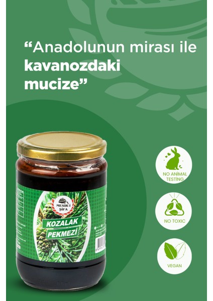 Kozalak Pekmezi 800 gr