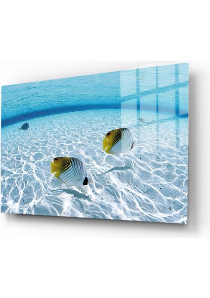 Doğa, Manzara 3d Dekoratif Baskı Yatay Cam Tablo 01