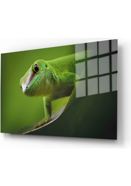 Doğa, Manzara 3d Dekoratif Baskı Yatay Cam Tablo 01